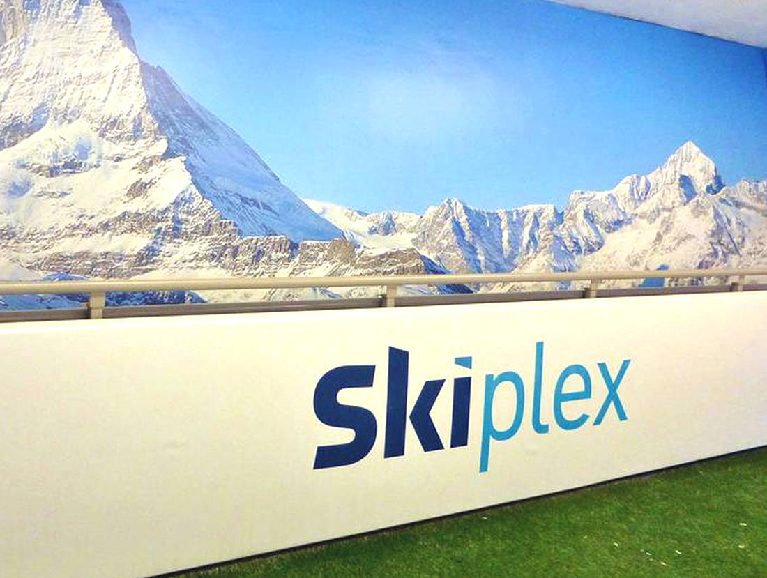 Skiplex logo hoarding designed by The Logo Smith