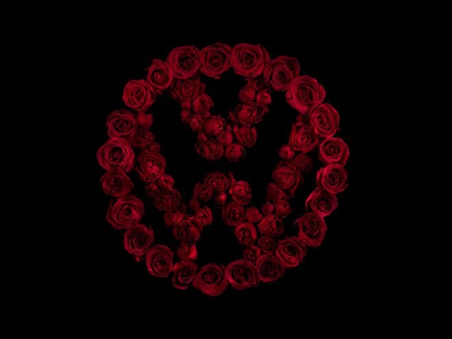 Underwater Rose Logo Series by Alexander James