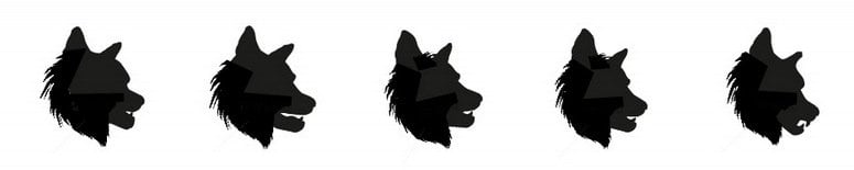 Wolf Mascot Evolution IDeas