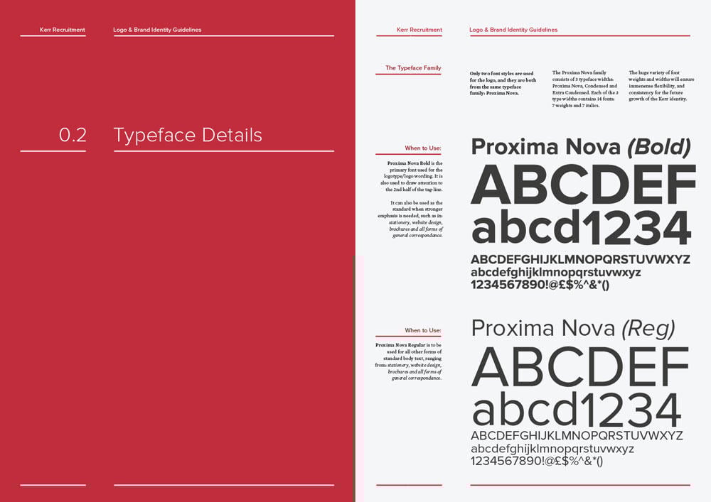 Logo and Brand Identity Guidelines Template 6