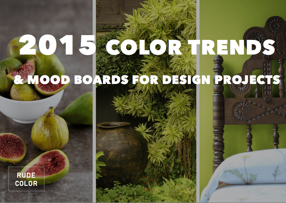 Rudecolor 2015 Color Trends Mood Boards for Designers