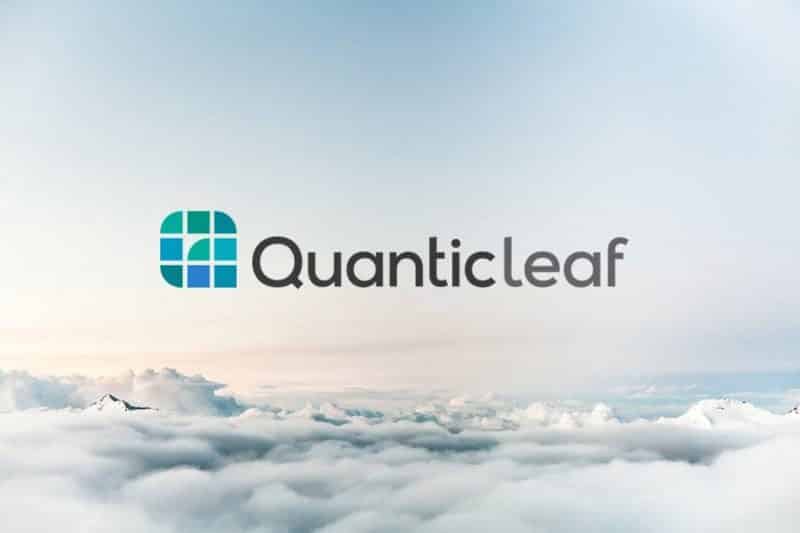Quantic Leaf Logo Design Designed by The Logo Smith