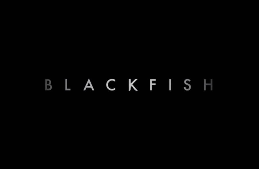 Blackfish Logo Design Fin Close up