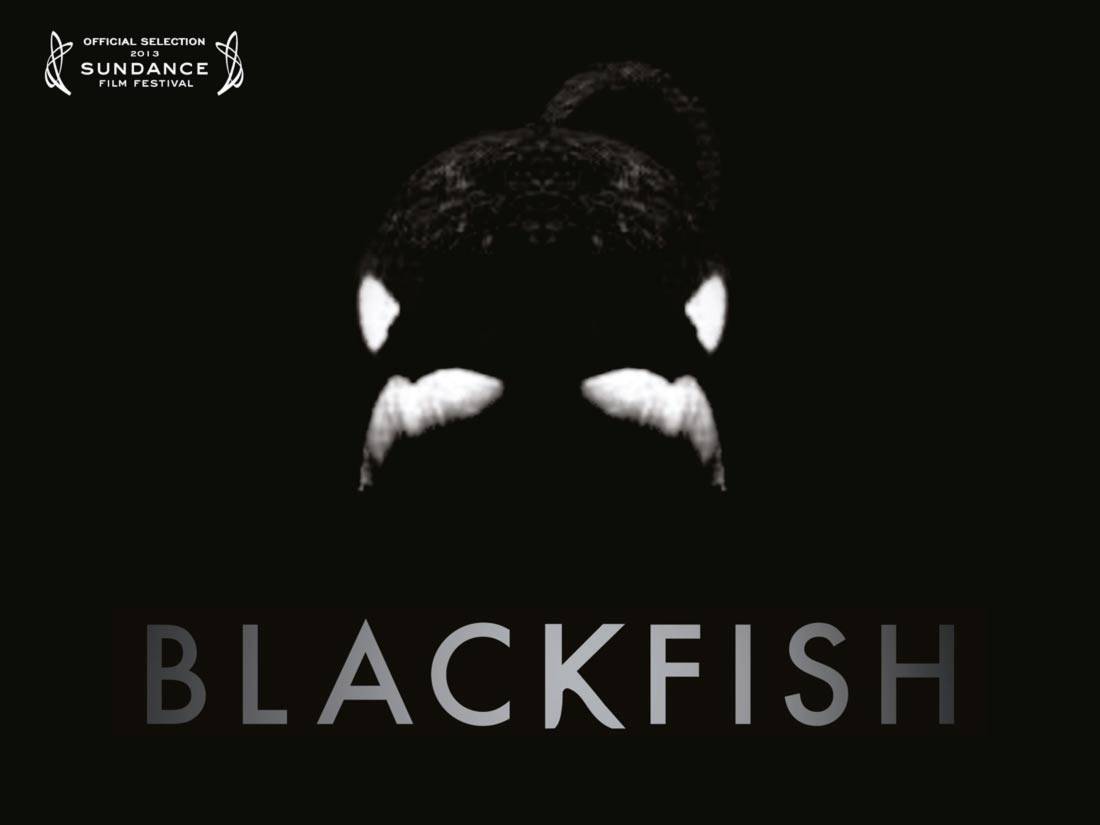 Blackfish Logo Sundance Film Festival