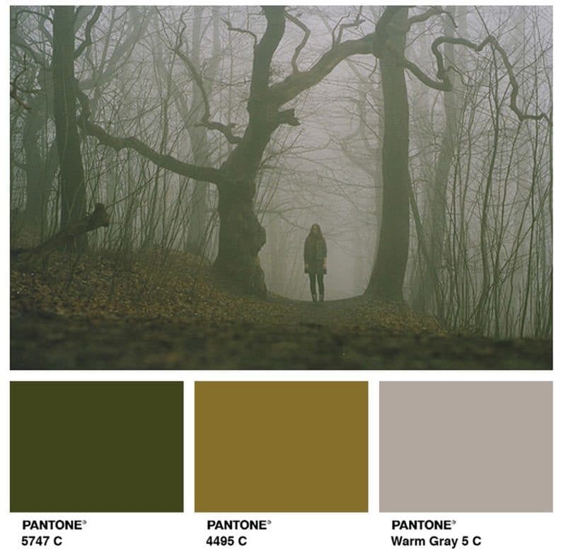 pantone-olive-green