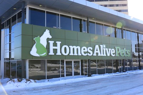 Homes Alive Pets Logo Designed by Freelance Logo Designer The Logo Smith.