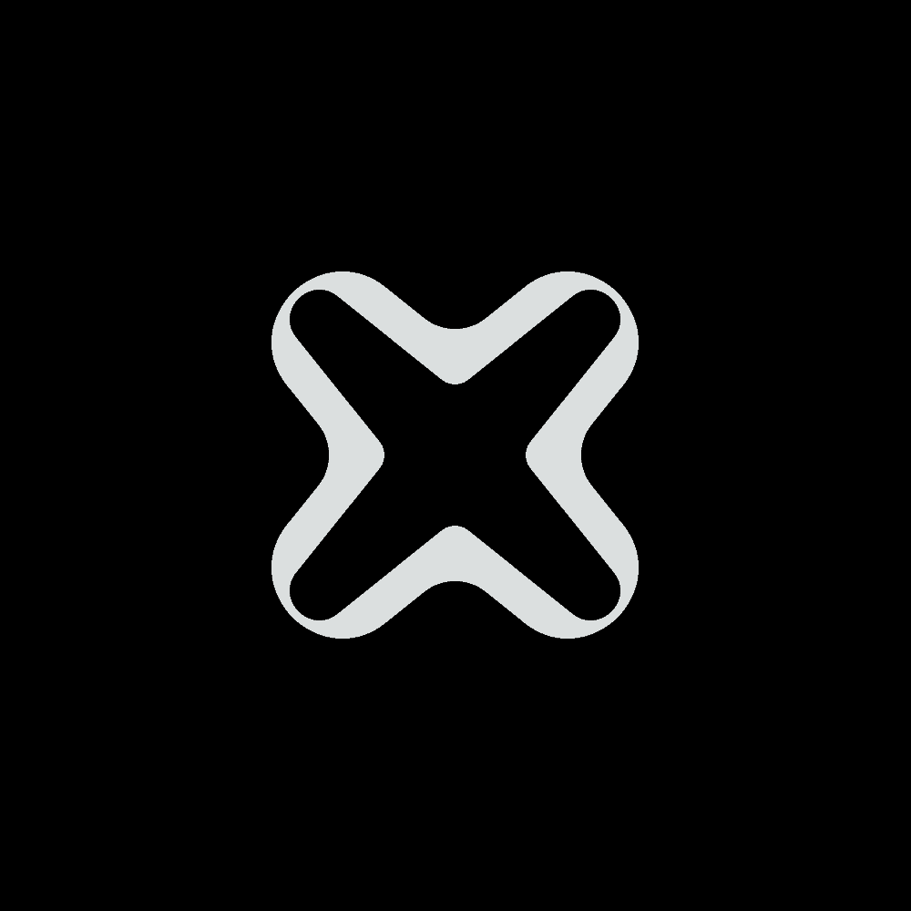 Internxt Logo Designed by The Logo Smith