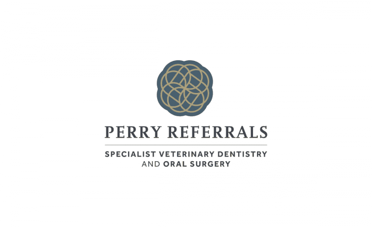 Perry Referrals Logo Brand Identity Designed by The Logo Smith
