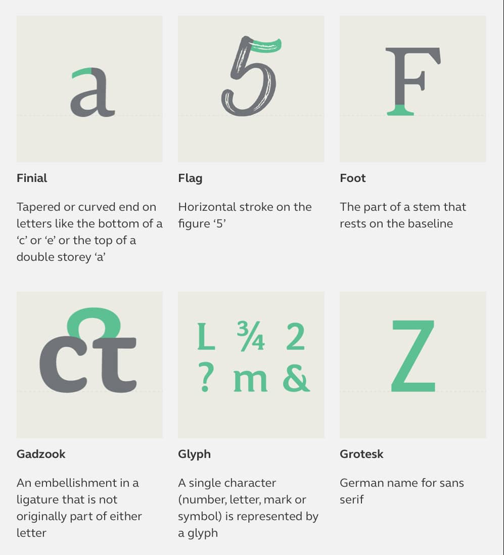 Type Anatomy - The Parts Of Letters (+FREE Poster)