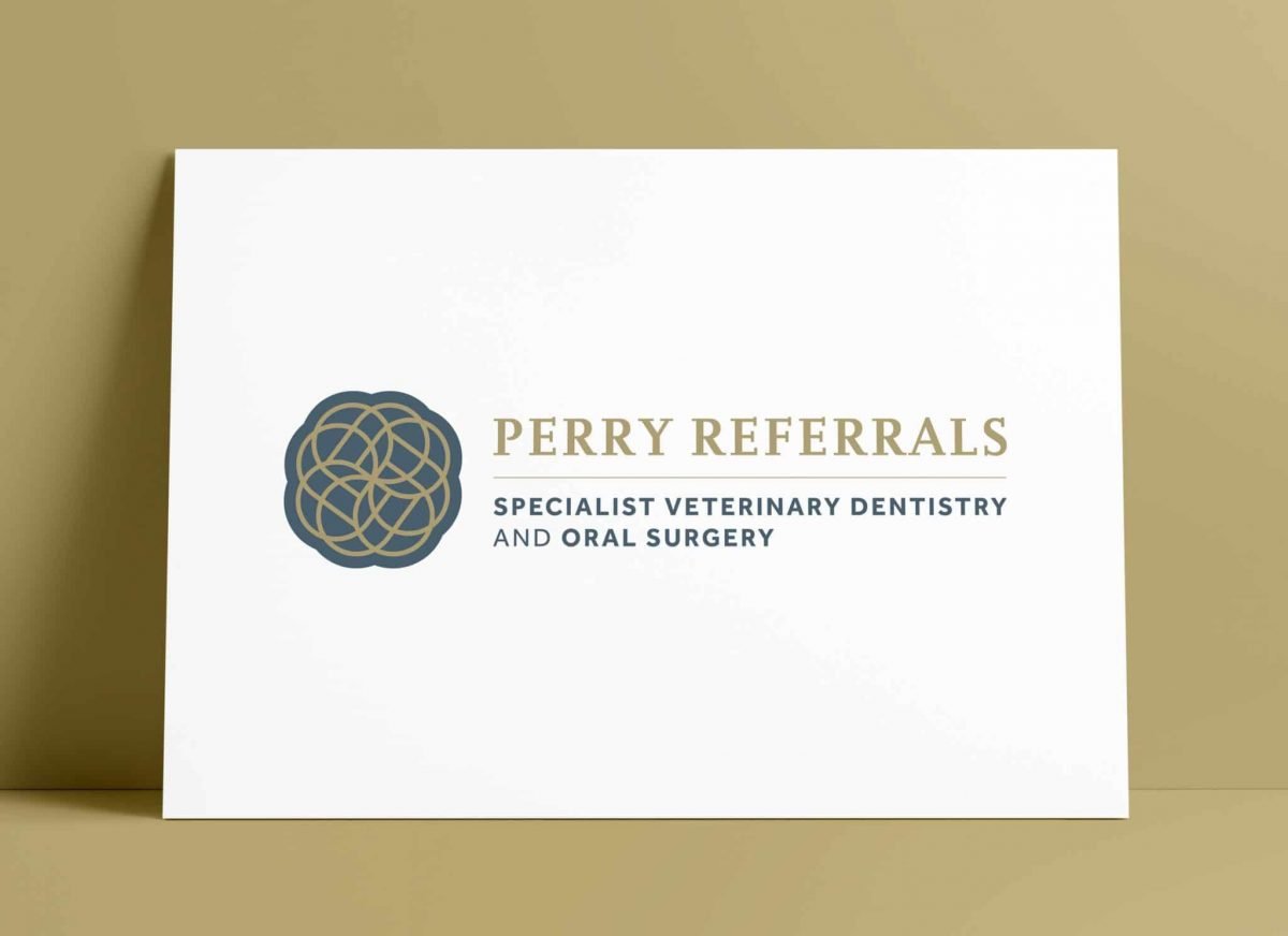 Client Testimonial by Rachel Perry for Perry Referrals Logo and Brand Identity Redesign